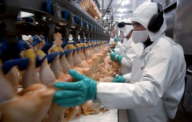 Economía en crisis: Polleros reclaman cierre de fronteras