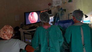 En Chajarí practicaron una inédita intervención quirúrgica.