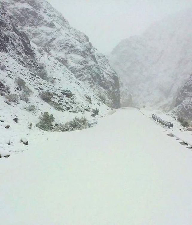 Manto blanco. La formación de hielo tornó muy peligroso el tránsito.