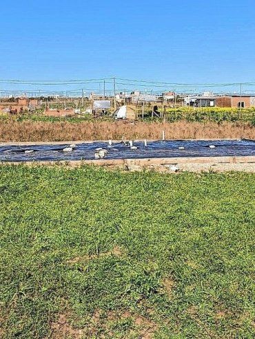 Denuncia a una constructora de Paraná: entregó su auto y la casa quedó inconclusa