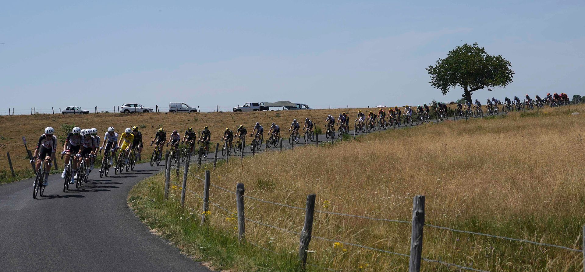 El pelotón recorre la décima etapa del Tour de Francia, con salida en Aurillac y llegada en Le Lioran, Francia, el martes 14 de julio de 2026. (Foto AP/Thibault Camus) El pelotón recorre la décima etapa del Tour de Francia, con salida en Aurillac y llegada en Le Lioran, Francia, el martes 14 de julio de 2026. (Foto AP/Thibault Camus)
