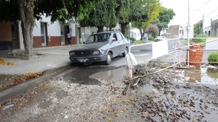 Rosario redujo sus corralitos de Assa en la calle de unos 200 a comienzos de año a 87 en la actualidad.