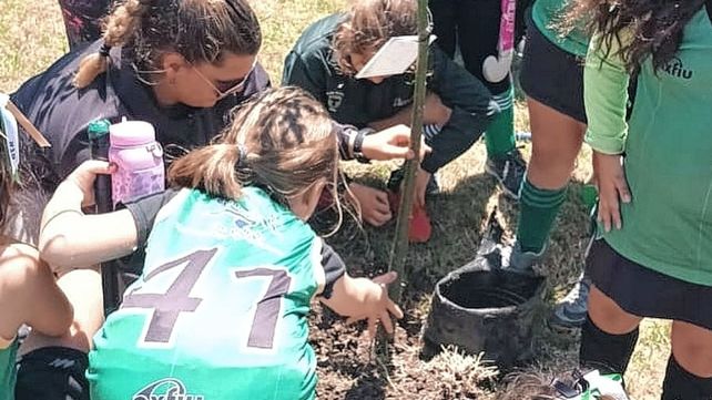 Árbol. Cada equipo vivió la experiencia de plantar una especie arbórea.