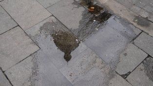 El tiempo en Rosario: jueves nublado con una temperatura máxima de 25º