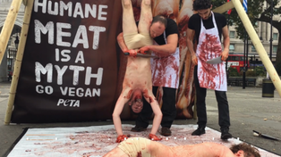 Con una sangrienta muestra callejera, celebraron el Día Mundial del Veganismo