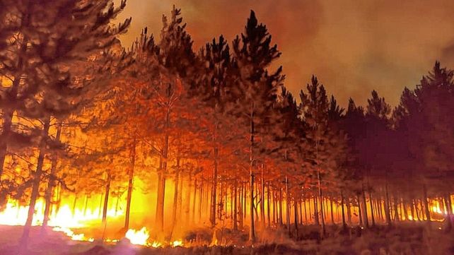 Los incendios de pastizales y forestaciones se repiten a diario en los últimos días.