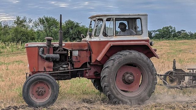 Más agroecología para parar la olla con alimentos sanos
