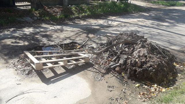 Vecinos de calle Del Pericón Nacional preocupados por un foco infeccioso