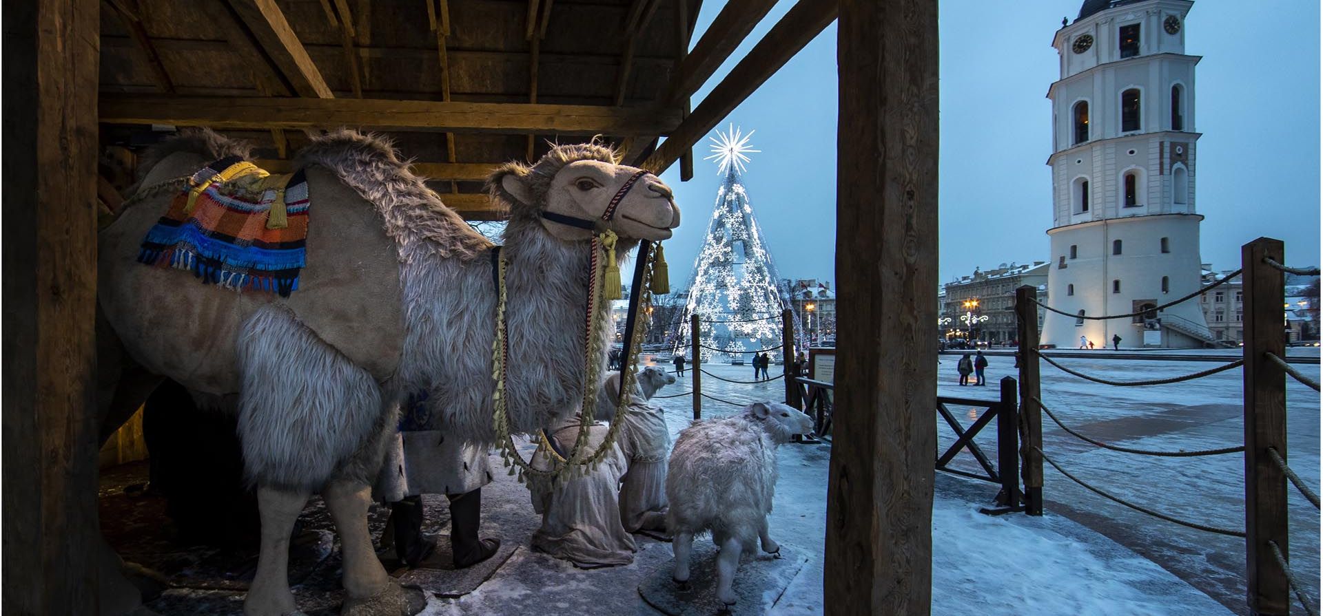 Un belén con el árbol de Navidad nacional y el campanario de la catedral al fondo, en la Plaza de la Catedral en Vilnius, Lituania. Foto: AP
