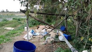 Aseguran que los campos entrerrianos son los que más glifosato acumulan a nivel mundial