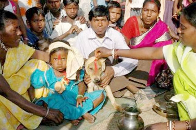 Niña india es obligada a casarse con un perro