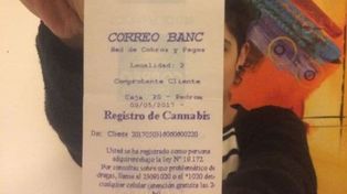 El cannabis estatal en farmacias es un éxito hace dos semanas en Uruguay