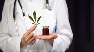 El municipio de Tigre regulará el uso y cultivo del cannabis con fines medicinales