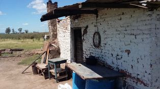 Condenaron a un productor ganadero por explotación laboral: deberá pagar $2 millones