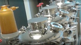 Ceres Demeter, empresa de I+D, anunció una inversión por más de $ 150 millones para ampliar su laboratorio.