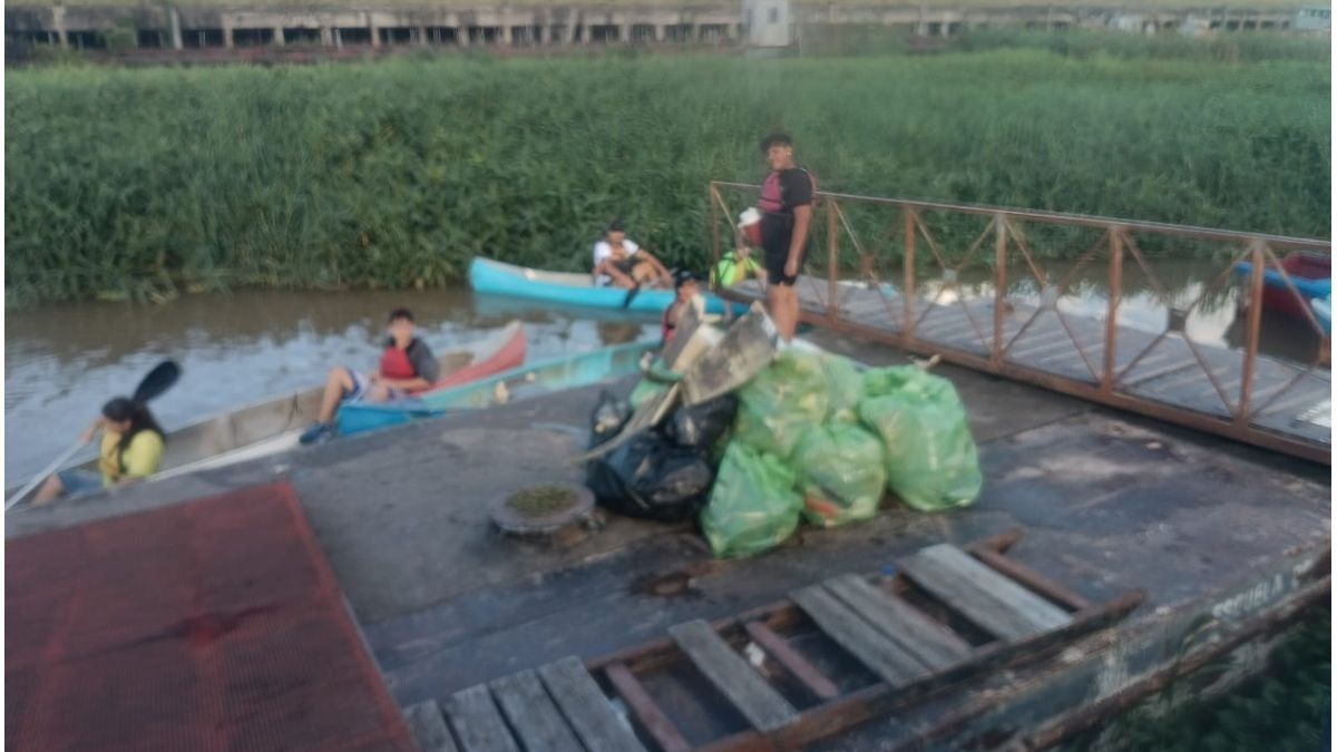 Nueva jornada de limpieza en el río Paraná