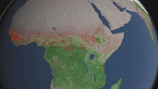 El 70 por ciento de los incendios forestales se produce en los pa&iacute;ses africanos