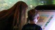 El Acuario del Río Paraná abre sus puertas para vacaciones copadas en julio
