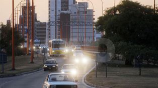 El ruido de la ruta 168 puede afectar el canto de las aves