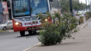 Por trabajos de Assa, se modifica el recorrido de la Línea 15