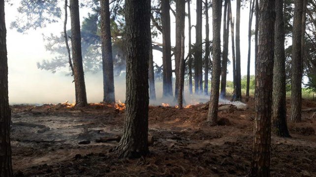 Bomberos Voluntarios de Ceibas acudieron el sábado y el domingo a apagar incendios en la estancia La Pellegrina. El lugar reportó al menos 15 en la temporada&nbsp;