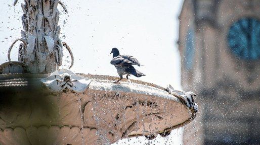 El calor y la humedad seguirán en la región al menos hasta la semana que viene