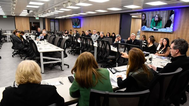 Los legisladores tuvieron el último encuentro para preparar el informe sobre fentanilo.