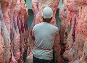 Estados Unidos abrió un nuevo cupo de carne, pero Argentina fue excluida por poseer uno propio
