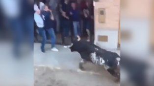 Un hombre de 62 años murió tras ser corneado en un encierro de toros en Valencia