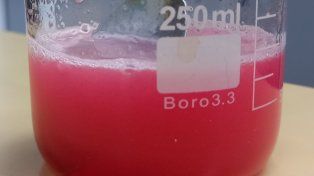 UNL: alimento en formato de gelatina, de colágeno hidrolizado enriquecido con vitamina C&nbsp;
