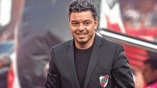 Gallardo pidió apoyo.