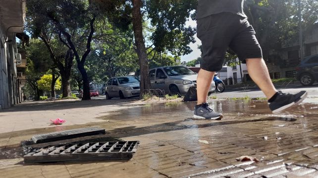 Esta viernes a la mañana sustrajeron medidores de agua en Francia al 2300.&nbsp;