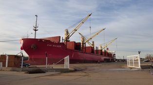 Zarpó otro ultramarino con eucalipto entrerriano con destino a China