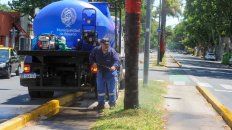 La semana pasada las cuadrillas de la Municipalidad de Rosario tuvieron que limpiar unas 50 palmeras que habían sido pintadas en avenida Presidente Perón. La semana pasada las cuadrillas de la Municipalidad de Rosario tuvieron que limpiar unas 50 palmeras que habían sido pintadas en avenida Presidente Perón.