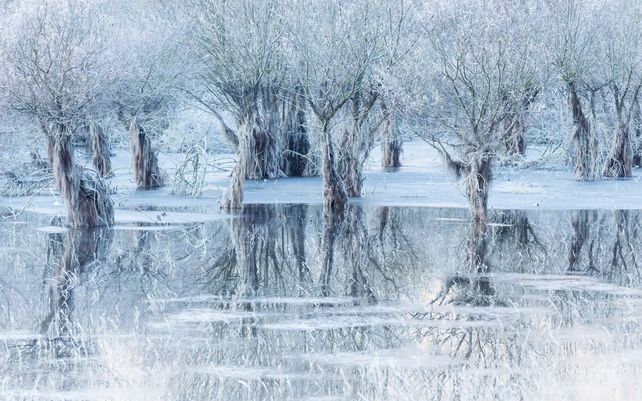Lago de hielo. Photo by Cristiano Vendramin, Italia
