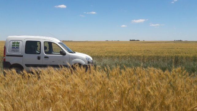 Identidad.&nbsp; En el país el trigo es clave para la industria alimentaria