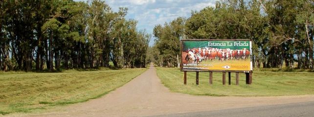 Robaron 200 mil euros y 17 mil dólares en la histórica estancia La Pelada de la familia Born Robaron 200 mil euros y 17 mil dólares en la histórica estancia La Pelada de la familia Born