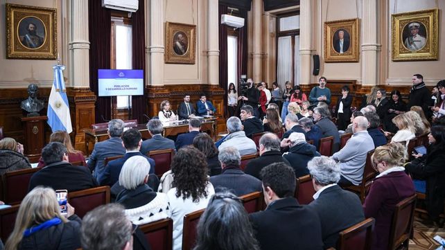 La emergencia en discapacidad llevó a que peronistas y radicales unan fuerzas en el Senado.&nbsp;