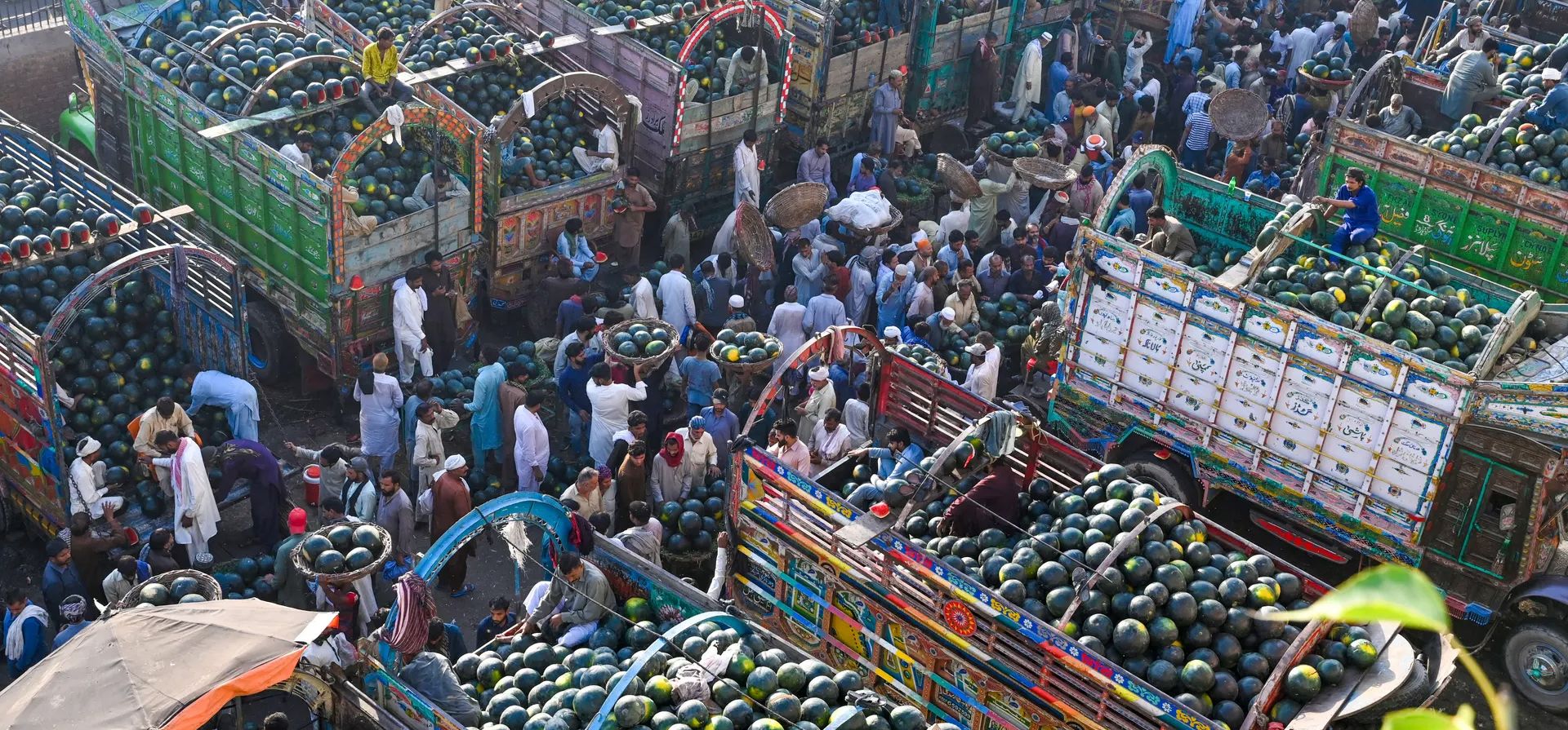 Los agricultores venden sandías en el mercado de frutas, Lahore, Pakistán. Fotografía: Arif Ali/AFP/Getty Images Los agricultores venden sandías en el mercado de frutas, Lahore, Pakistán. Fotografía: Arif Ali/AFP/Getty Images