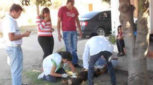 Mataron a más de 200 perros con albóndigas envenenadas