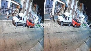 Bestial caso de maltrato animal en la ciudad de Santa Fe.