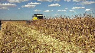 Sector del transporte y el agro, alertas por falta de gasoil