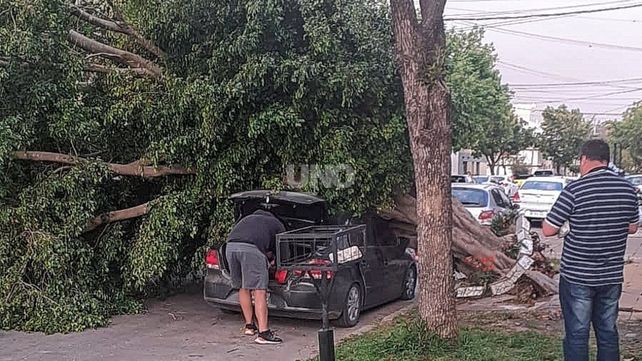 Tormenta: un árbol cayó arriba de un auto y el viento volteó una pared medianera de un edificio