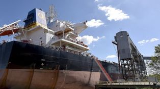 Se oficializó la retención adicional de 12% a todas las exportaciones