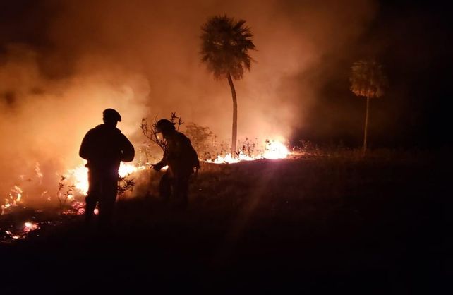 El trabajo de los Bomberos Zapadores de Vera en el campo de el Paraje Los Palmares.&nbsp;