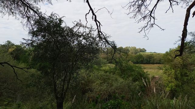 Tierra Chaná se incorpora al Sistema de Áreas Naturales Protegidas