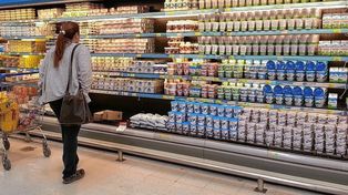 El sector lácteo se recuperó y creció 11% en el último año