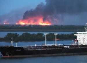 Incendios en las islas: la Justicia sobreseyó a los 42 productores imputados