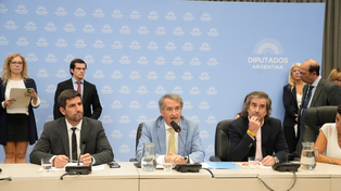 El plenario de comisiones que debatió sobre la solicitud de informes a distintos miembros del Poder Ejecutivo.