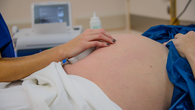 La técnica de fertilidad